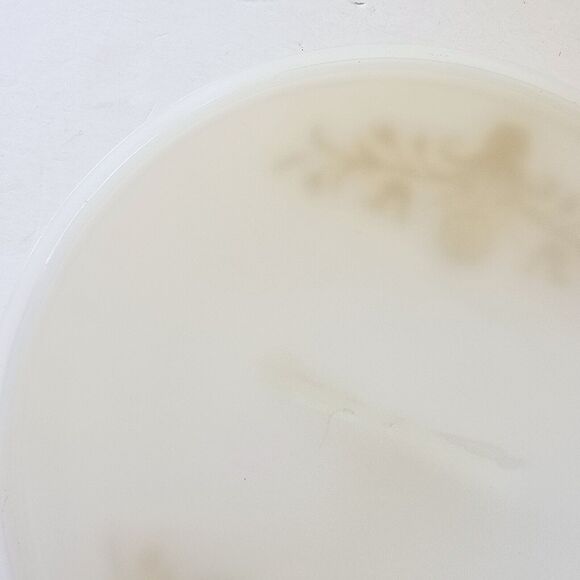 Vintage Glasbake Milk Glass 8.5" 2 Qt Dish LID ONLY Round Gold Yellow Bird MCM - Picture 8 of 13